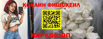 гашик Можга