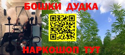 гашик Можга