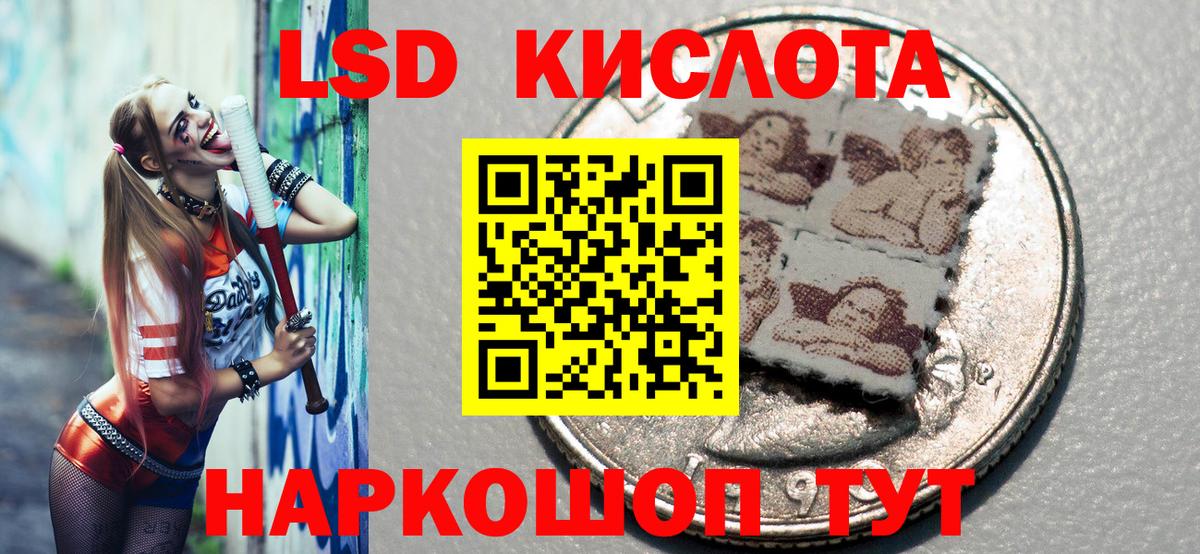 Марки NBOMe 1,5мг  где продают   Владимир  Вход с VPN 
